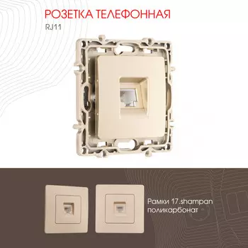 Розетка Arte Milano Am-217 217.51-1.shampan