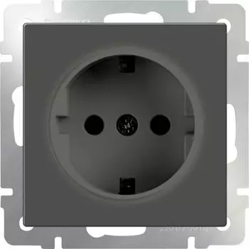Розетка Werkel Серо-коричневый WL07-SKG-01-IP20/ Розетка с заземлением (серо-коричневый)