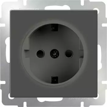 Розетка Werkel Серо-коричневый WL07-SKGS-01-IP44/ Розетка с заземлением и шторками (серо-коричневый)