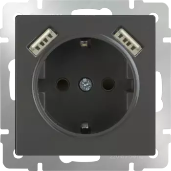 Розетка Werkel Серо-коричневый WL07-SKGS-USBx2-IP20 / Розетка с заземлением, шторками и USBх2 (серо-коричневый)