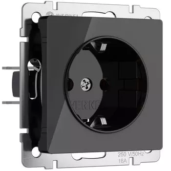 Розетка Werkel W1171048/ Розетка с заземлением (черный акрил)