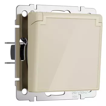 Розетка Werkel W1171243/ Розетка влагозащ. с зазем. с защит. крышкой и