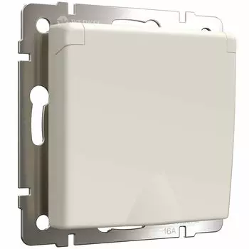 Розетка Werkel W1171262/ Розетка с заземлением и шторками c крышкой IP