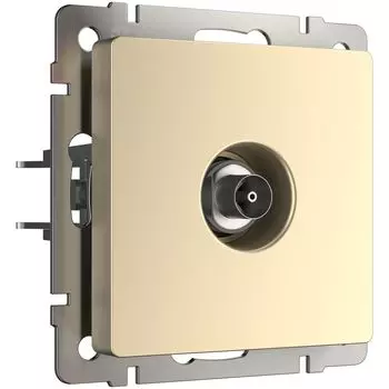 Розетка Werkel W1183011/ ТВ-розетка оконечная (шампань)