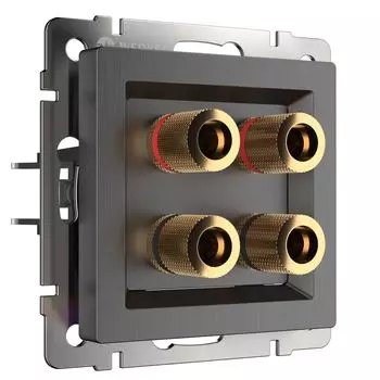 Розетка Werkel W1185004/ Акустическая розетка (графит рифленый)
