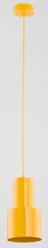 Светильник подвесной Alfa (СМ) Randy 60375
