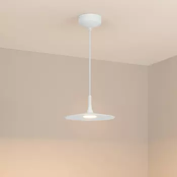 Светильник подвесной Arlight Fiore 035953
