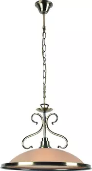Светильник подвесной Arte Lamp A6905SP-1AB