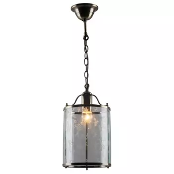 Светильник подвесной Arte Lamp BRUNO A8286SP-1AB