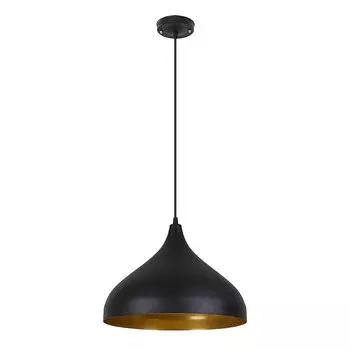 Светильник подвесной Arte Lamp Carmel A7076SP-1BK