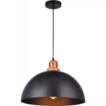 Светильник подвесной Arte Lamp Eurica A4249SP-1BK