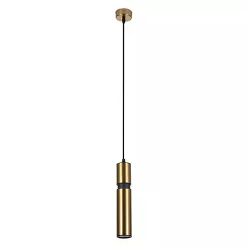 Светильник подвесной Arte Lamp Ran A3145SP-1PB