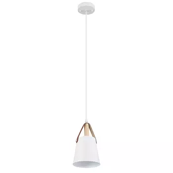 Светильник подвесной Arte Lamp Thomas A7032SP-1WH