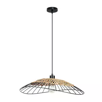 Светильник подвесной Arte Lamp Woodstock A7061SP-1BK