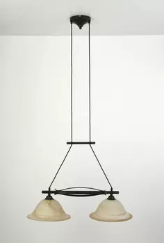 Светильник подвесной Brilliant FIORE 81971/58