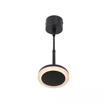 Светильник подвесной Denkirs DK402 DK4022-BK