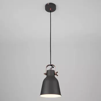 Светильник подвесной Eurosvet 50083/1 черный