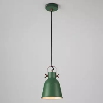 Светильник подвесной Eurosvet Projector 50083/1 зеленый