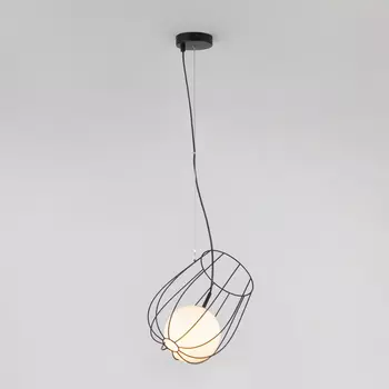 Светильник подвесной Eurosvet 50139/1 черный