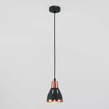 Светильник подвесной Eurosvet Nort 50173/1 черный