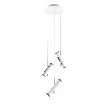 Светильник подвесной Favourite Duplex 2325-6P