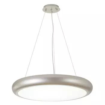 Светильник подвесной Favourite Smiler 2828-1PC