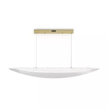 Светильник подвесной Freya Cloud FR5441PL-L40G