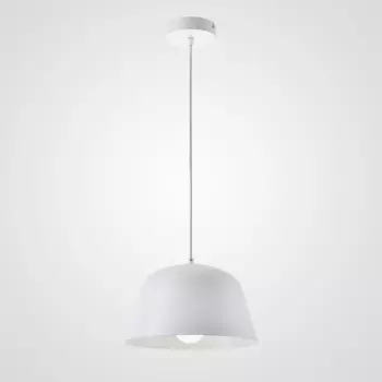 Светильник подвесной ImperiumLoft Mu01 101814-26