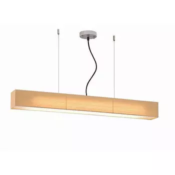 Светильник подвесной L'Arte Luce RAIL L68302.34