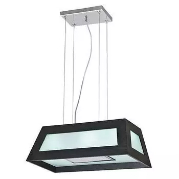 Светильник подвесной L'Arte Luce Vita L28103.09