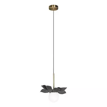 Светильник подвесной Loft It Monro 10213/B Black