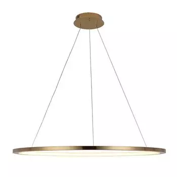 Светильник подвесной Loft It Ring 10014XL