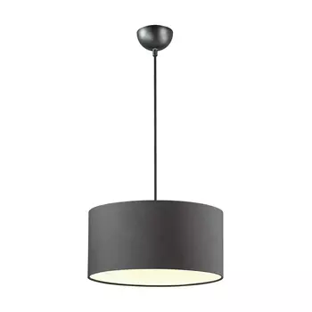 Светильник подвесной Lumion Dora 3736/1