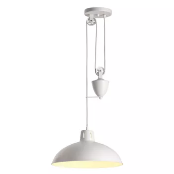 Светильник подвесной Lumion Ruth 4441/1