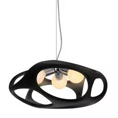 Светильник подвесной Lussole Rexburg LSP-0215