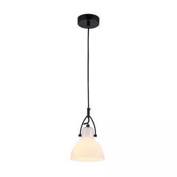 Светильник подвесной Maytoni Daniel MOD407-PL-01-B