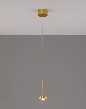 Светильник подвесной Moderli Fiona V10894-PL