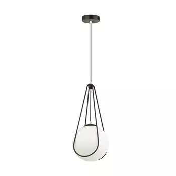 Светильник подвесной Odeon Light Carol 4269/1