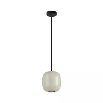 Светильник подвесной Odeon Light Cocoon 5060/1GA