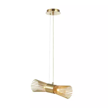 Светильник подвесной Odeon Light Dorta 4638/2