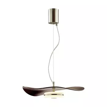 Светильник подвесной Odeon Light Fluent 4857/13L