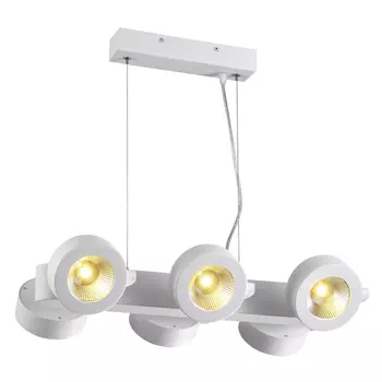 Светильник подвесной Odeon Light Pumavi 3493/60L