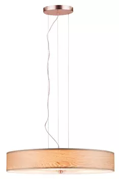 Светильник подвесной Paulmann 79649