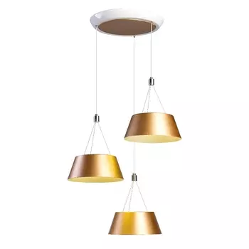 Светильник подвесной RiForma 2-5015-3-WH+GL LED