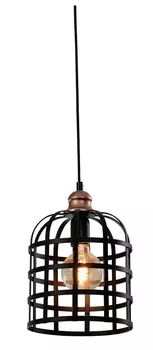 Светильник подвесной Rivoli Zenzi 5026-201