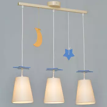 Светильник подвесной Северный свет Ночка 1658