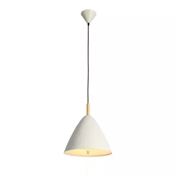 Светильник подвесной ST Luce Codel SL522.513.01