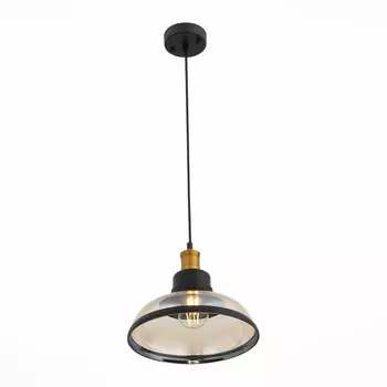 Светильник подвесной ST Luce Corati SL263.403.01