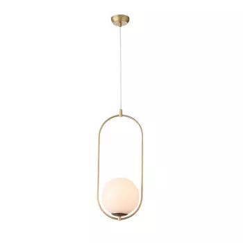 Светильник подвесной ST Luce Penolo SL1118.203.01