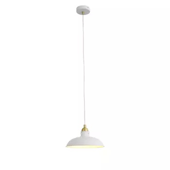 Светильник подвесной ST Luce Pietanza SL323.503.01